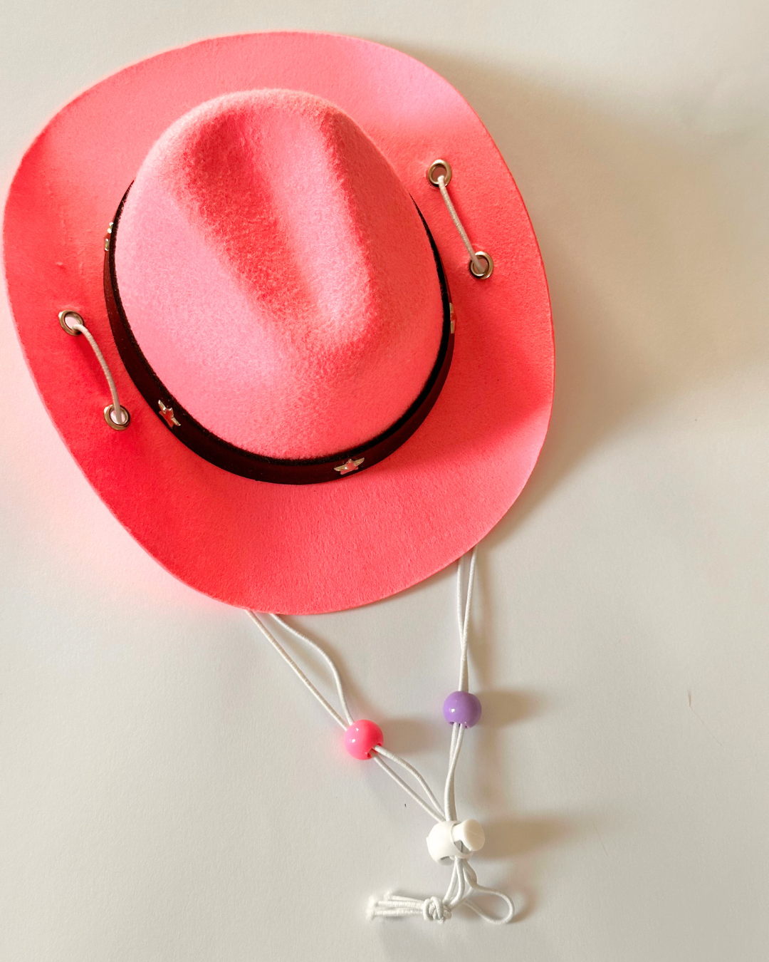 Pink Dog Cowboy Hat