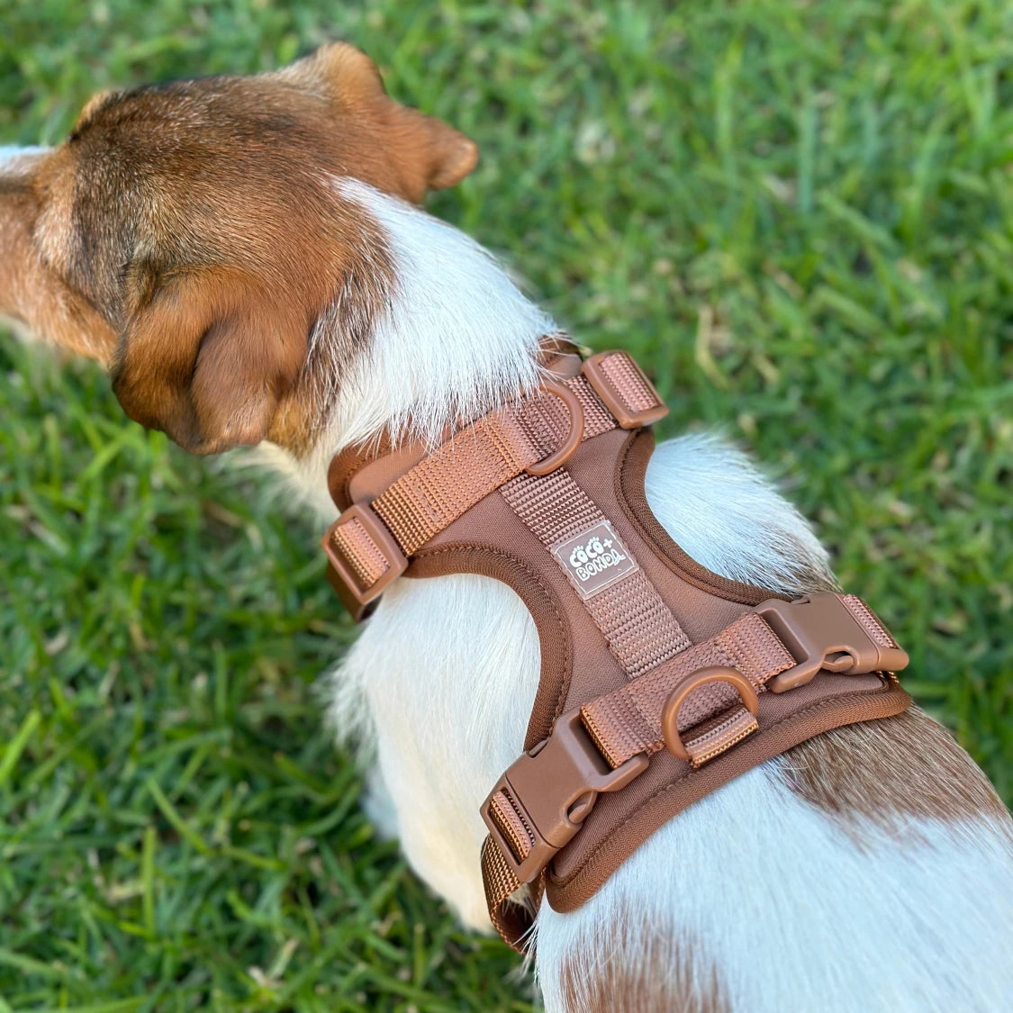 No-Pull Dog Harness – Mocha, Adjustable, Breathable & Waterproof