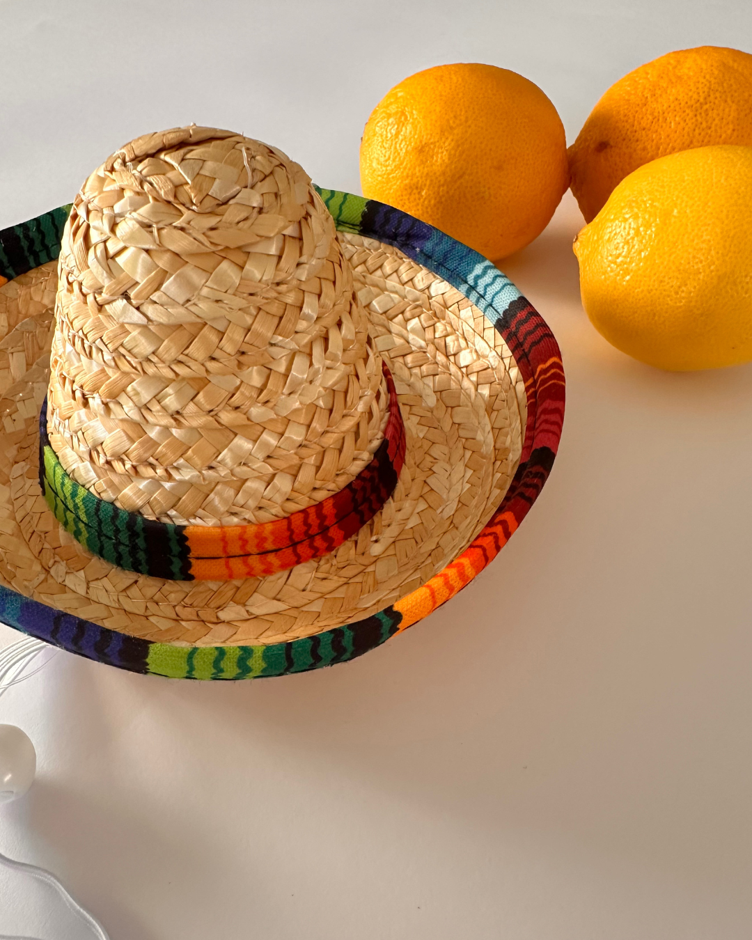 Mexican Dog Hat