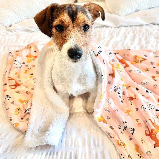 Sherpa Dog Blanket – Made for Snuggles and Sweet Dreams