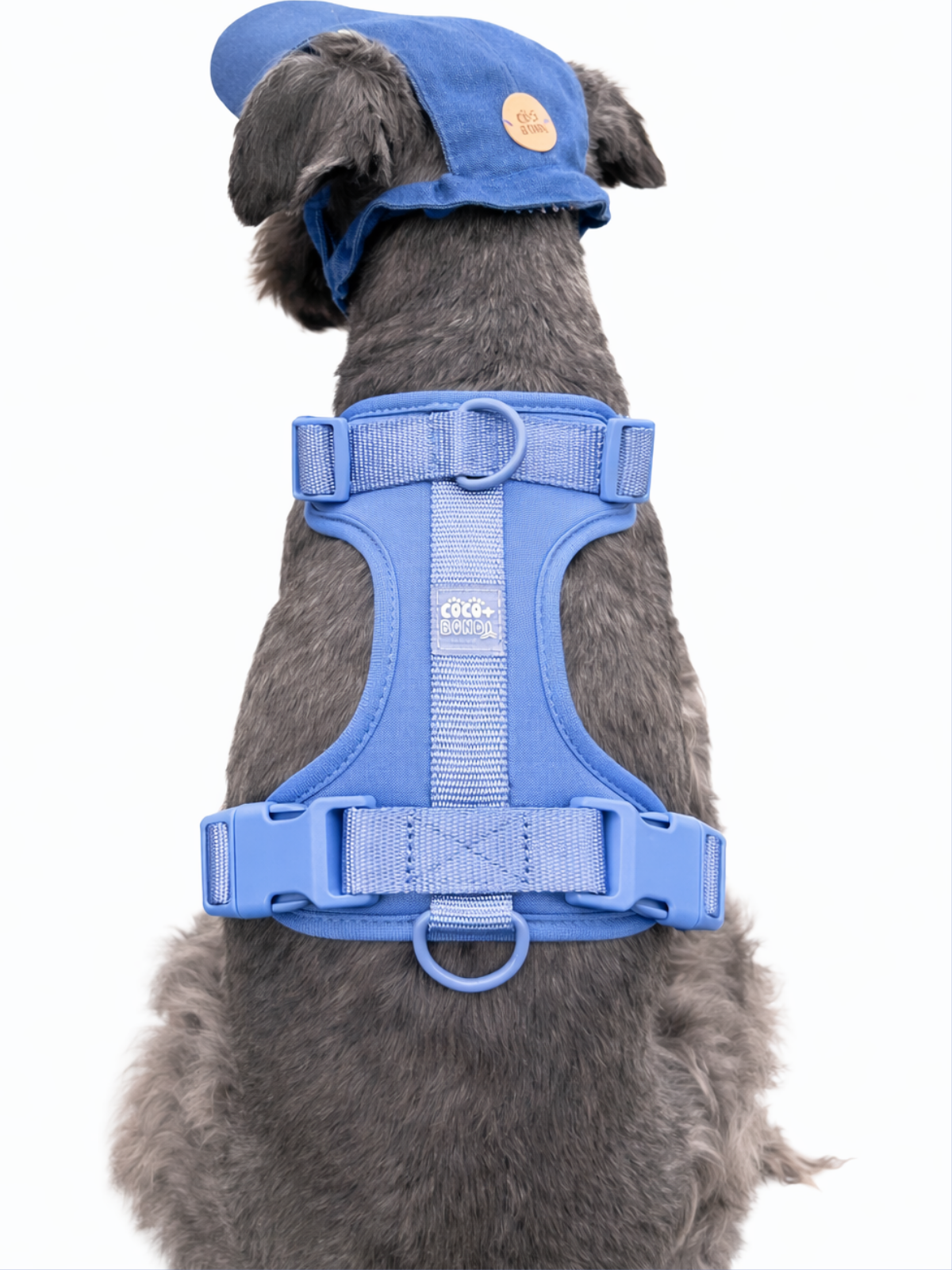 Full Moon No-Pull Harness - Walk Your Dog with Ease