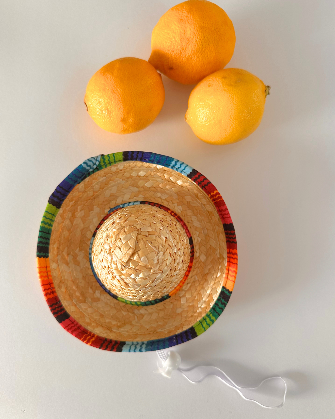 Mexican Dog Hat