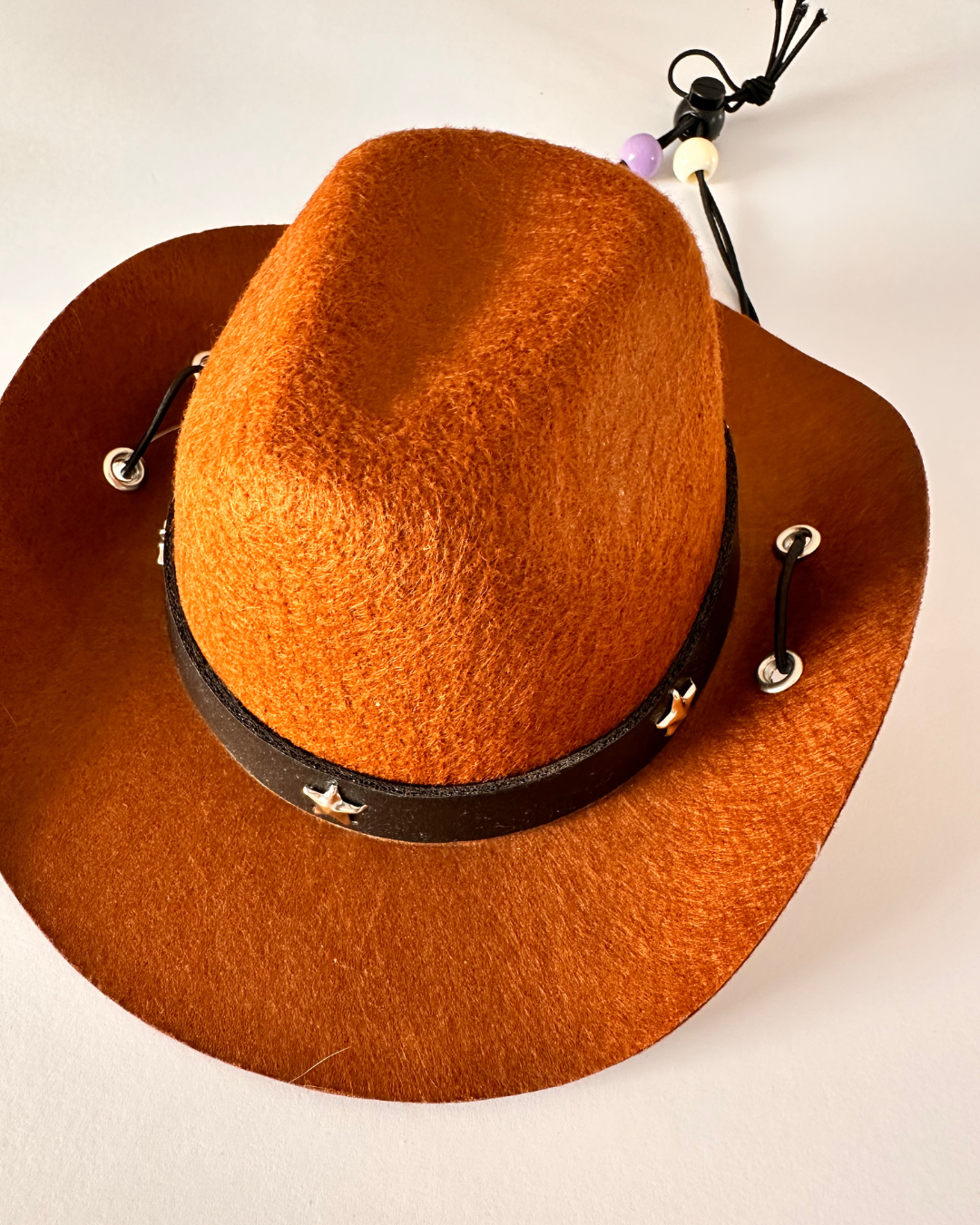 Brown Dog Cowboy Hat