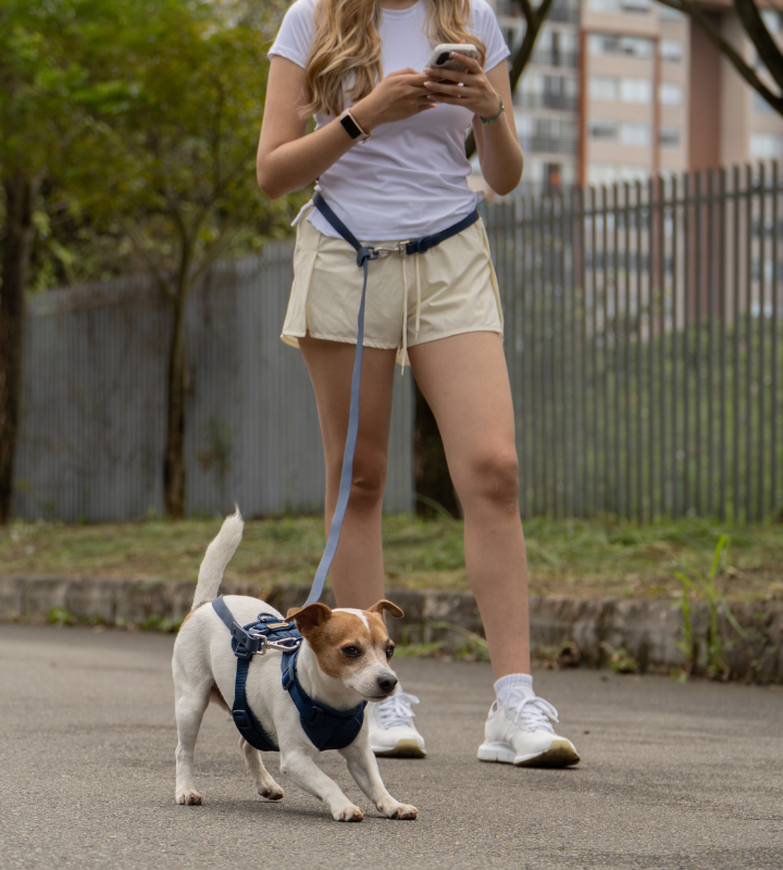 Navy Blue Waterproof Hands-Free Dog Leash – Adjustable & Durable