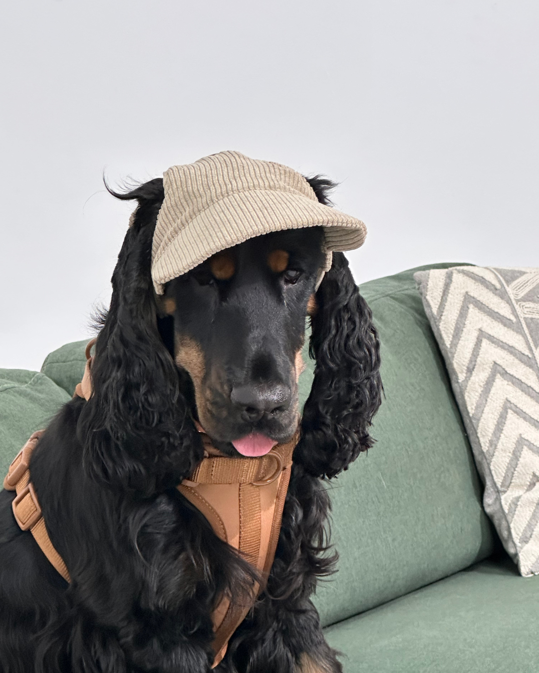 UV-Protective Adjustable Dog Hat in Cream