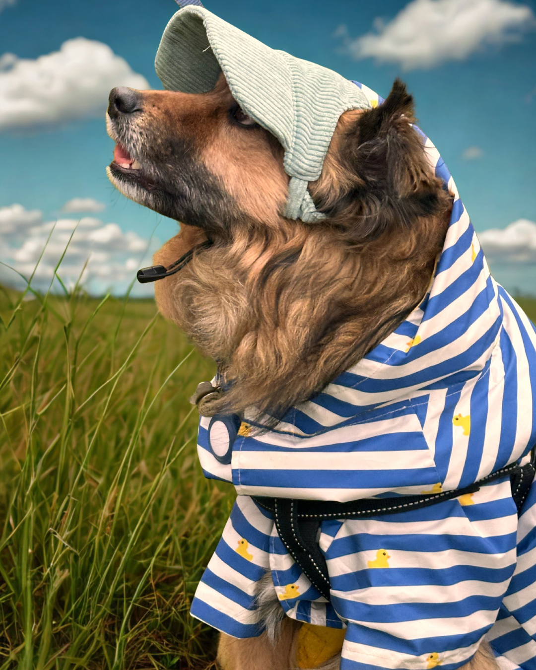 UV-Protective Adjustable Coral Blue Dog Hat