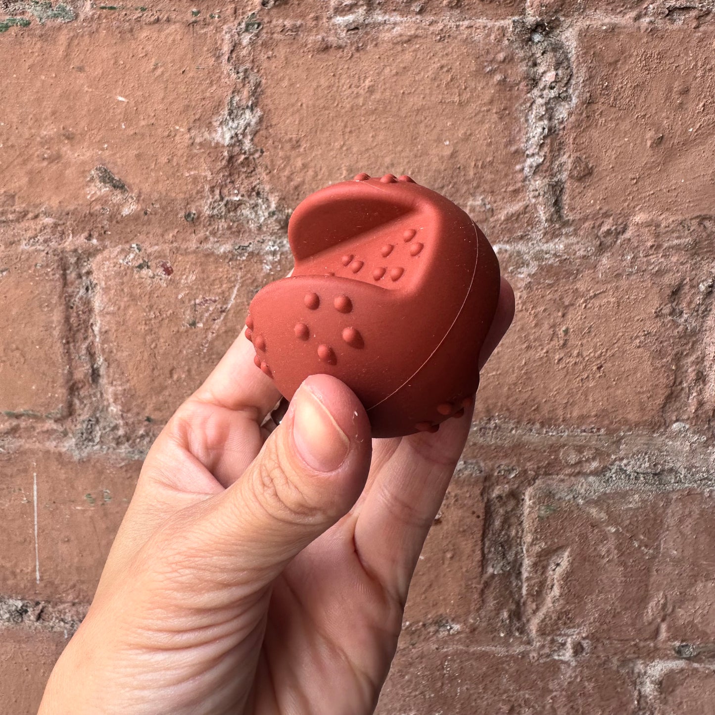 Treat Ball for Dogs - 6 cm Mental Stimulation Toy