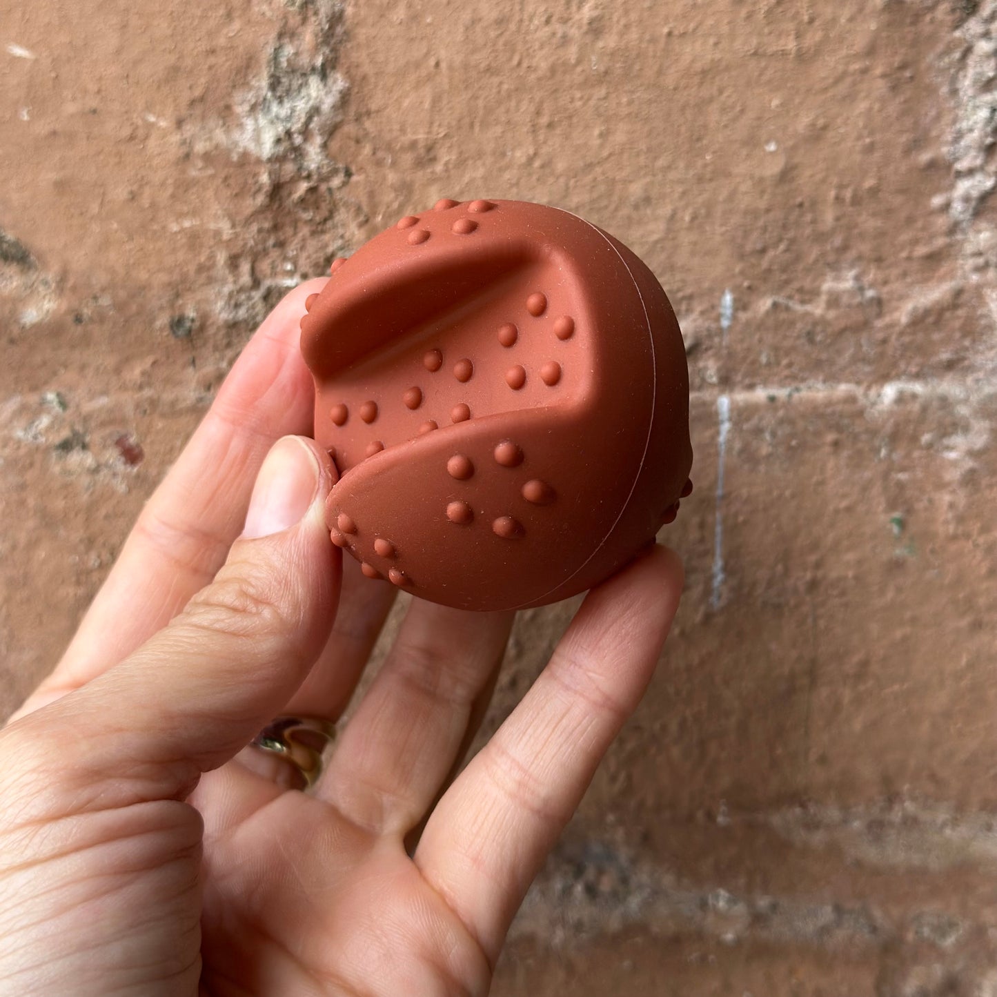 Treat Ball for Dogs - 6 cm Mental Stimulation Toy