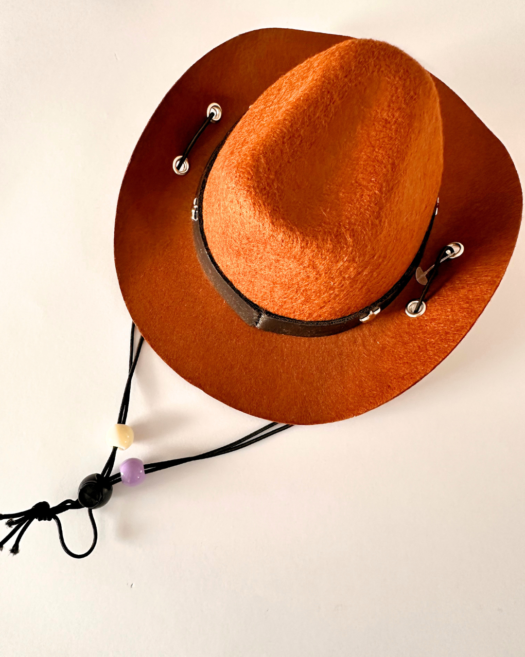 Brown Dog Cowboy Hat