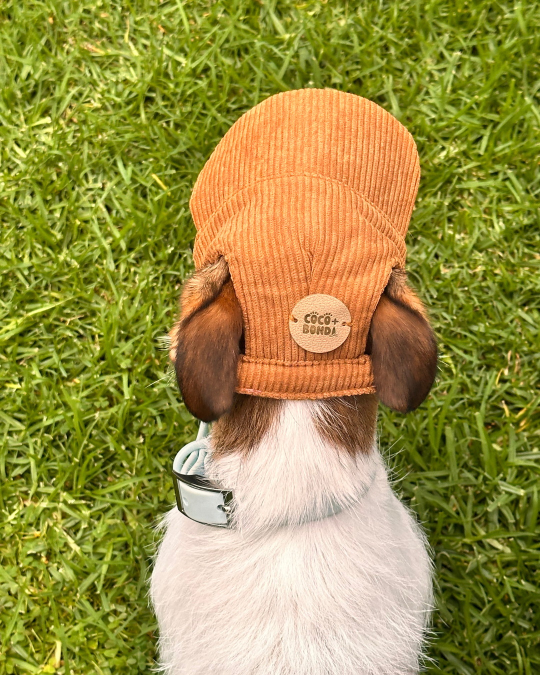 The Salted Caramel Dog Hat