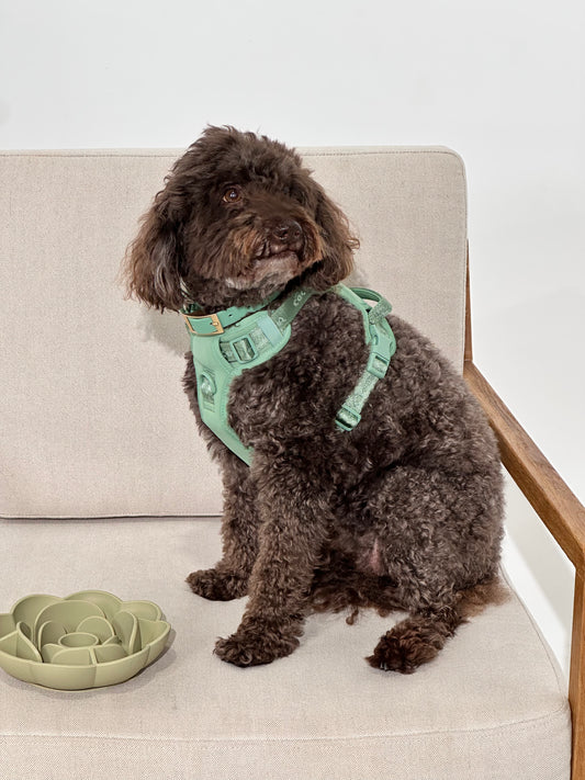 Sage Green No-Pull Dog Harness – Adjustable, Secure & Stylish