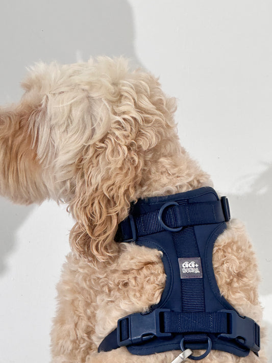 No-Pull Dog Harness in Navy Blue - Walk Your Dog with Ease