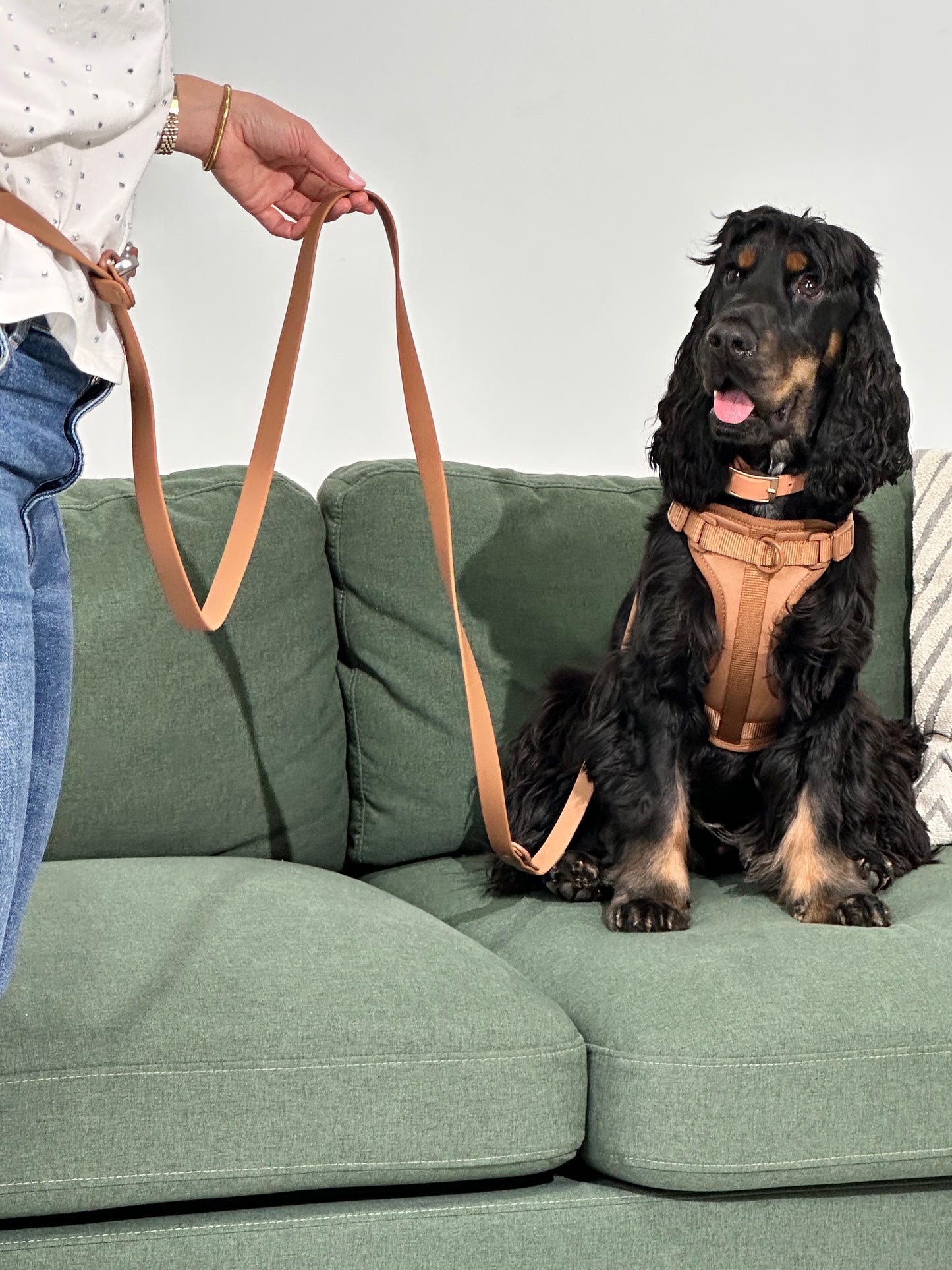 No-Pull Dog Harness – Mocha, Adjustable, Breathable & Waterproof