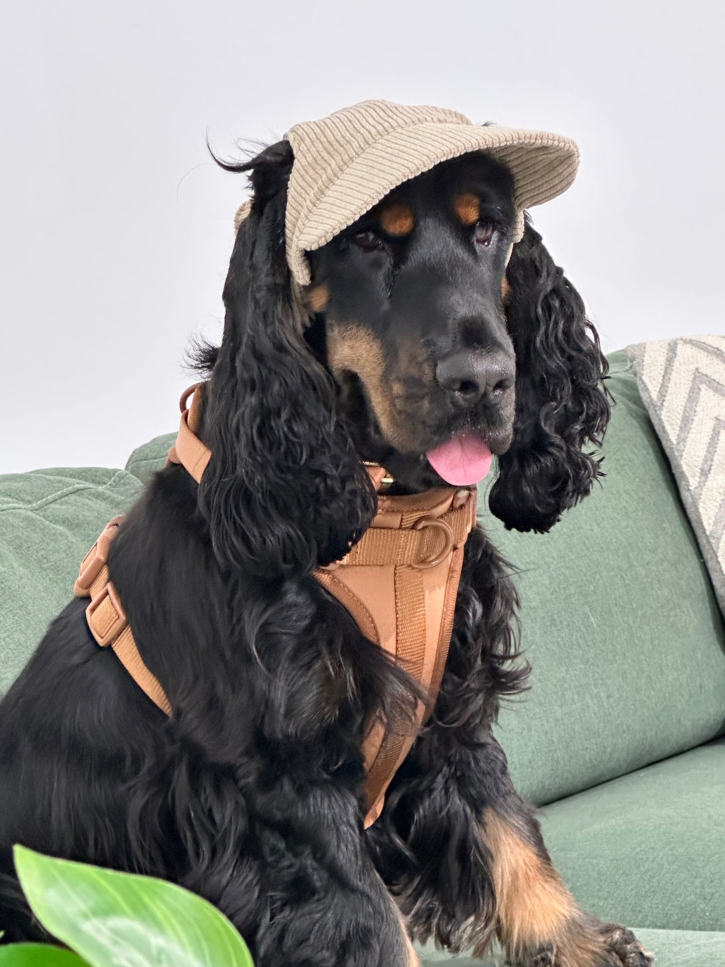 No-Pull Dog Harness – Mocha, Adjustable, Breathable & Waterproof