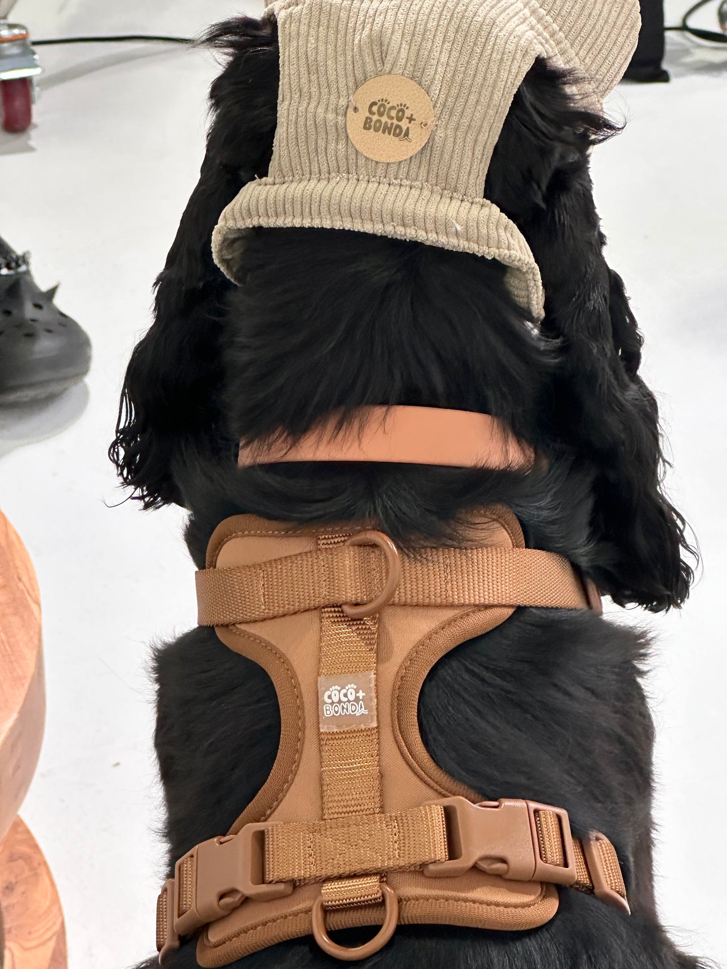 No-Pull Dog Harness – Mocha, Adjustable, Breathable & Waterproof