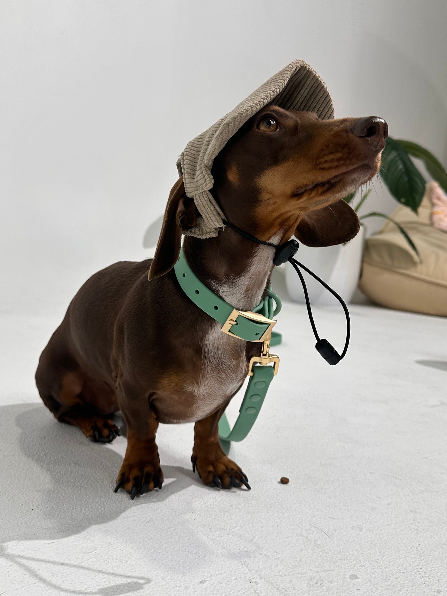 Sage Green Waterproof Dog Collar – Lightweight, Adjustable & Easy to Clean