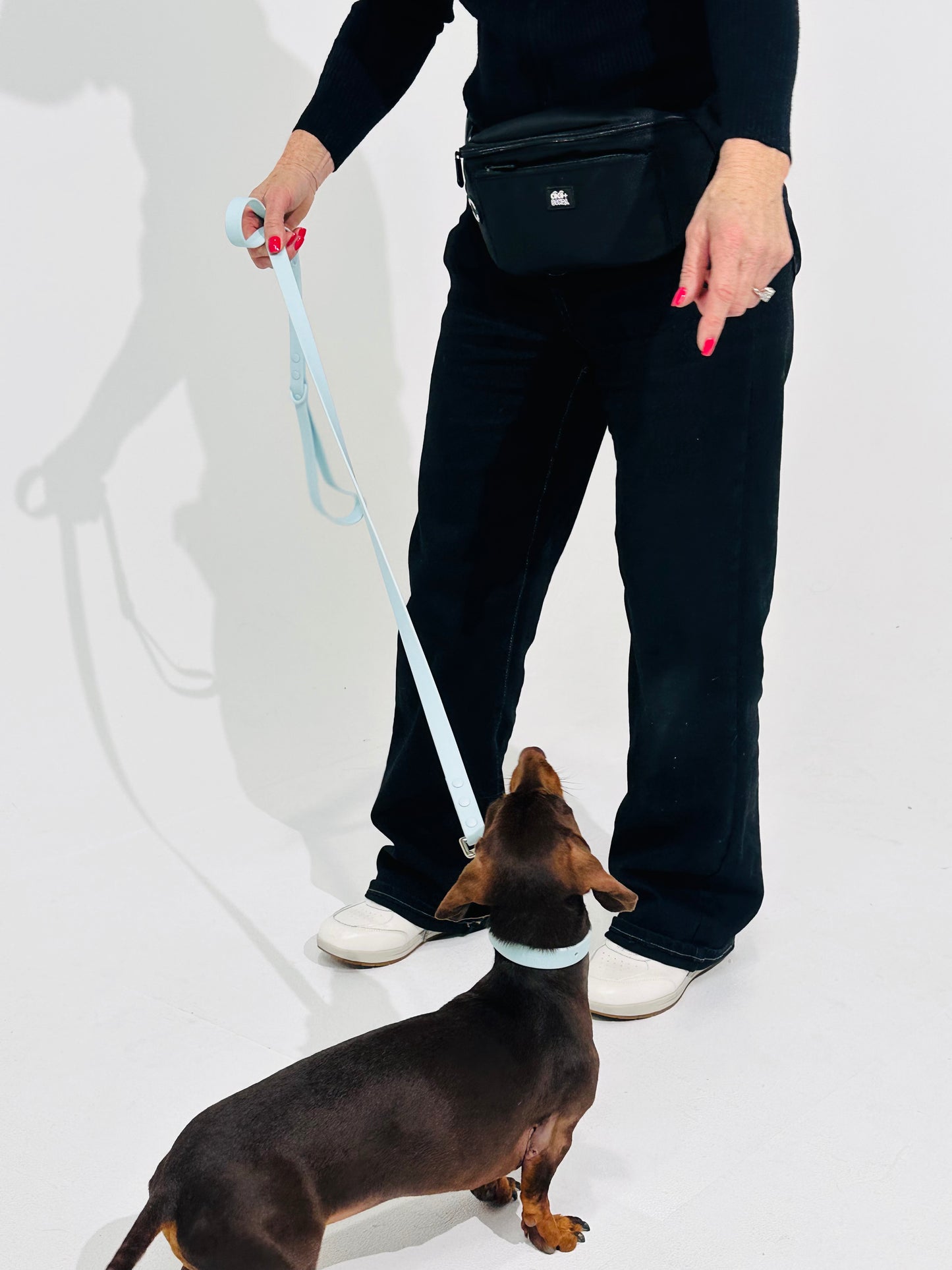 Sky Blue Waterproof Dog Leash