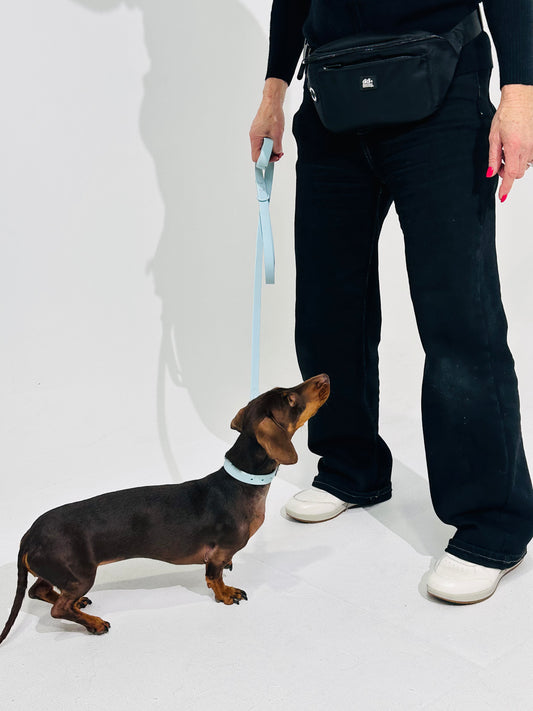Sky Blue Waterproof Dog Leash