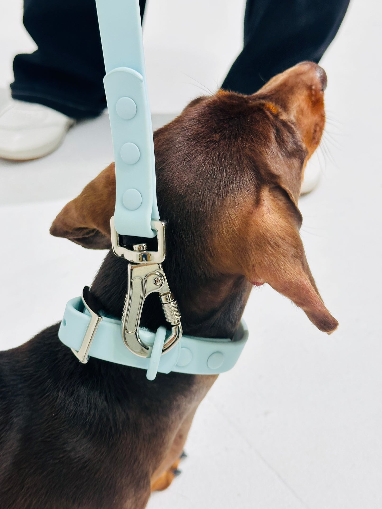 Sky Blue Waterproof Dog Leash