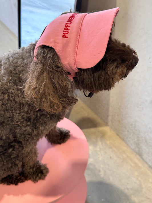 "Pupfluencer” Dog Hat – Adjustable, Breathable & Sun-Safe
