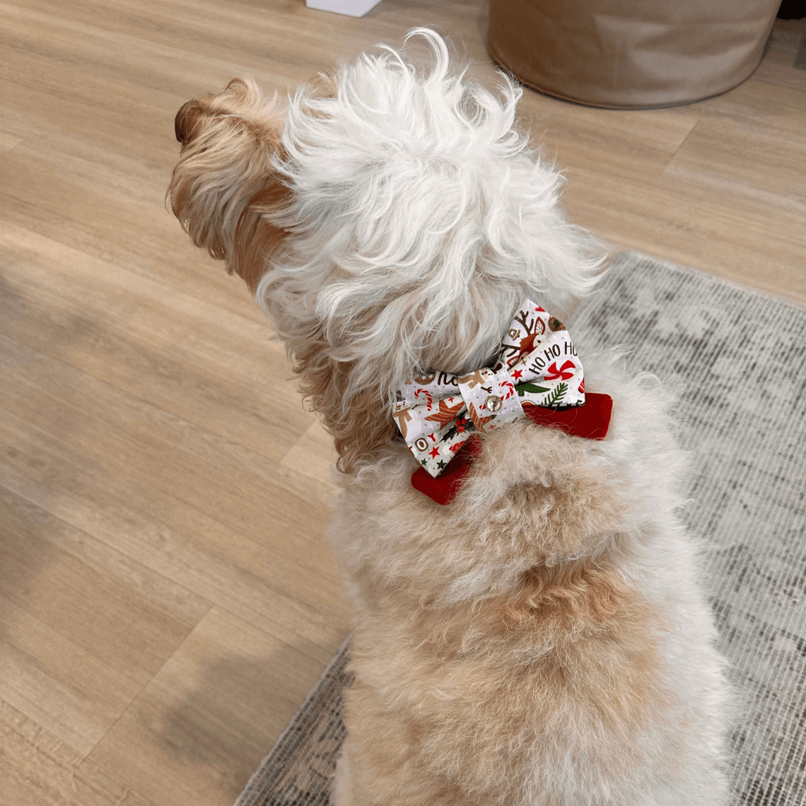 Christmas Bow Tie - Happy Ho Ho Holiday