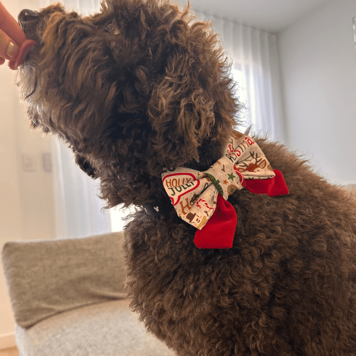 Christmas Bow Tie - Happy Ho Ho Holiday