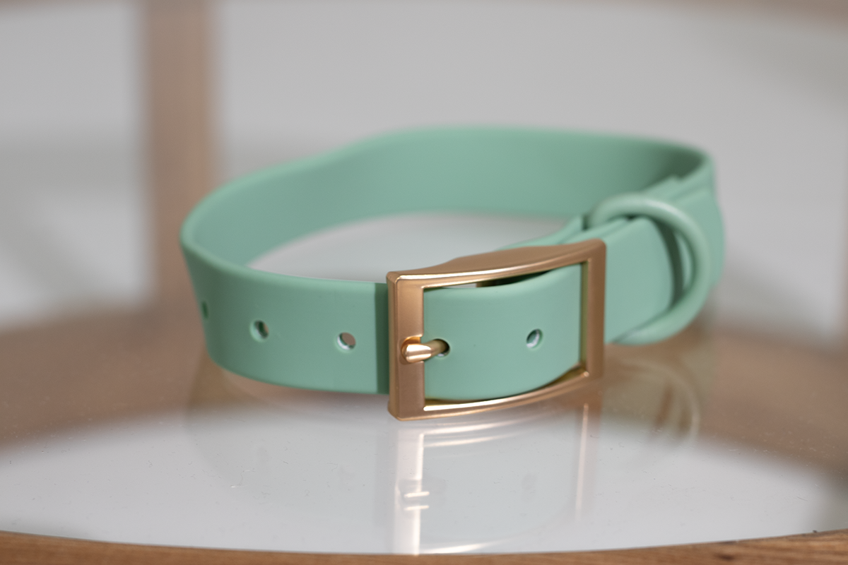 Sage Green Waterproof Dog Collar – Lightweight, Adjustable & Easy to Clean