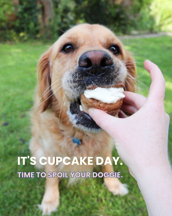RSPCA Cupcake Day: A Pupcake Recipe for Your Dog