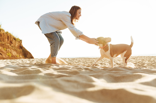 Enhancing Your Dog’s Life with Mental Stimulation: Top Strategies for a Happier Furry Friend