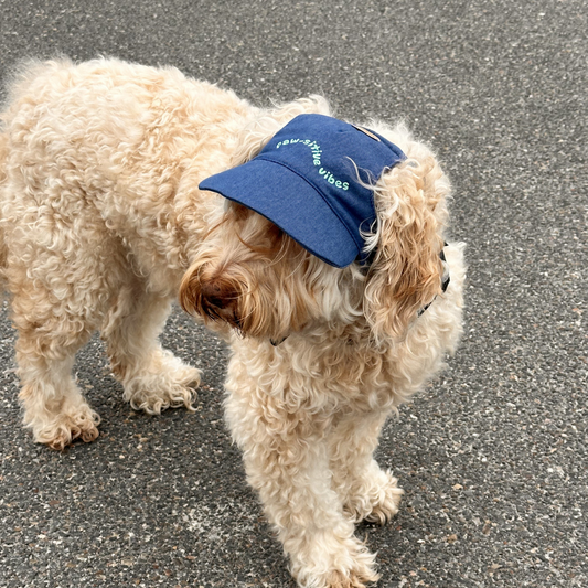 How to Put a Dog Hat On: A Simple Step-by-Step Guide