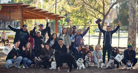 The Pack by Coco + Bondi Launches in Adelaide, Bringing Dog Parents Together
