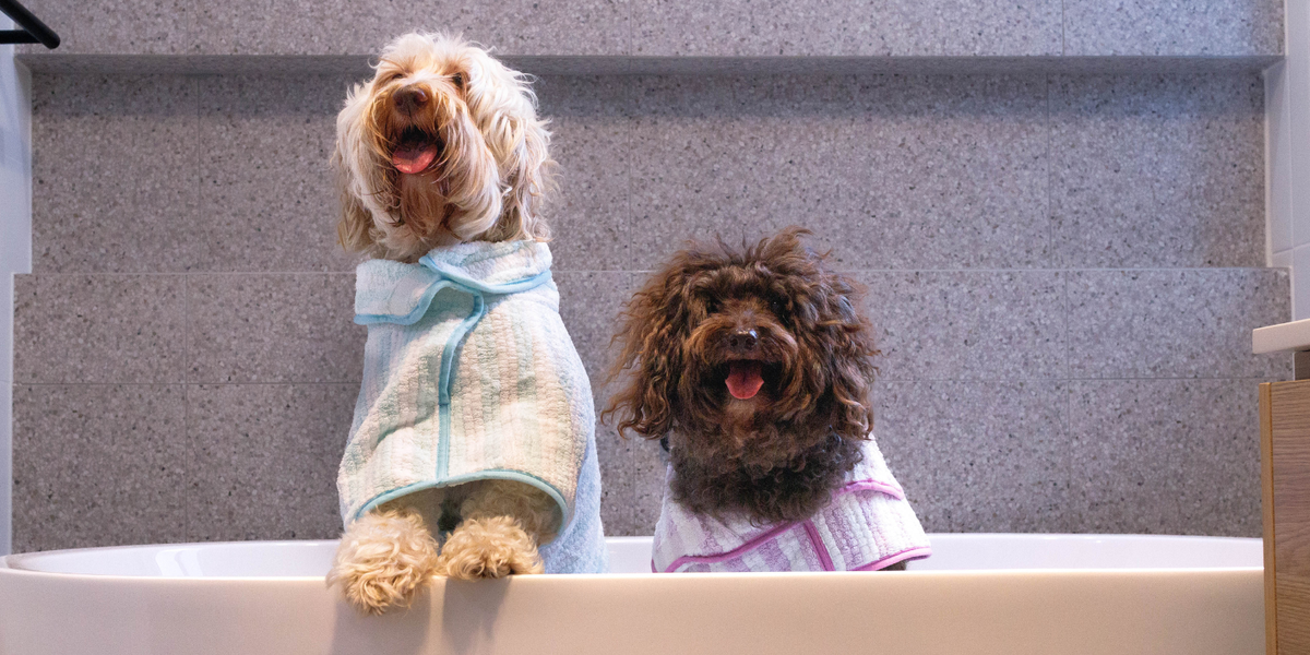 Dog Poncho Towels