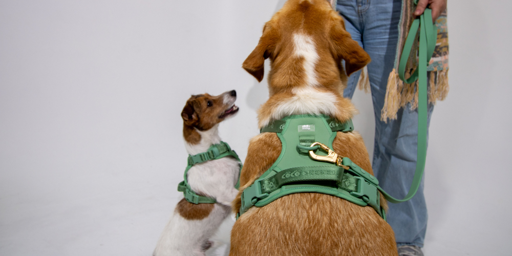 No-Pull Dog Harnesses