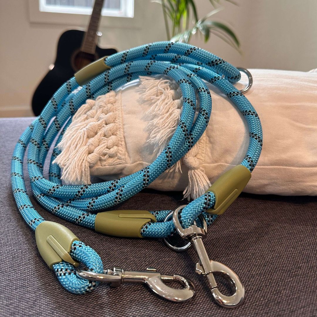 Hands-Free Nylon Rope Dog Leash in Blue