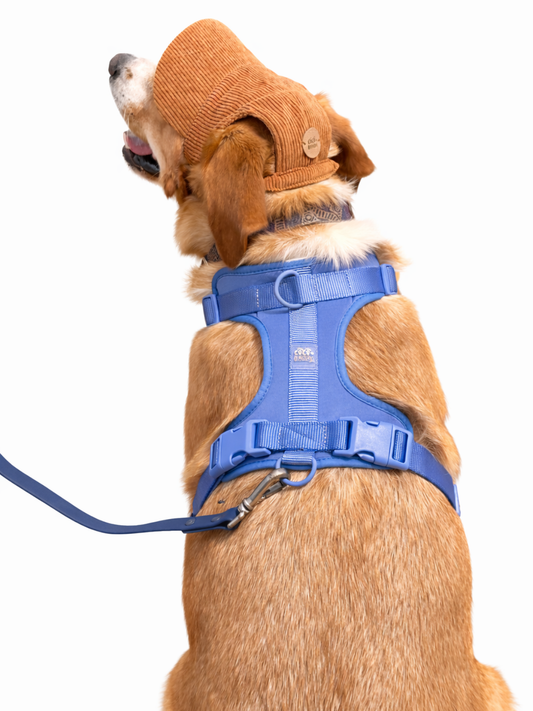 Full Moon No-Pull Harness - Walk Your Dog with Ease