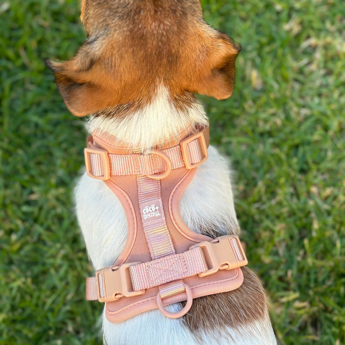 No-Pull Dog Harness & Hands - Free Leash Set in Peach