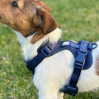 Navy Blue No-Pull Dog Harness & Waterproof Hands-Free Leash Set