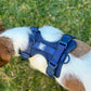 No-Pull Dog Harness & Hands - Free Leash Set in Navy Blue