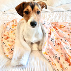 Sherpa Pet Blanket