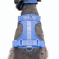 Full Moon No-Pull Harness - Walk Your Dog with Ease