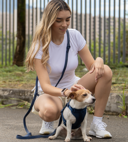 Navy Blue No-Pull Dog Harness & Waterproof Hands-Free Leash Set