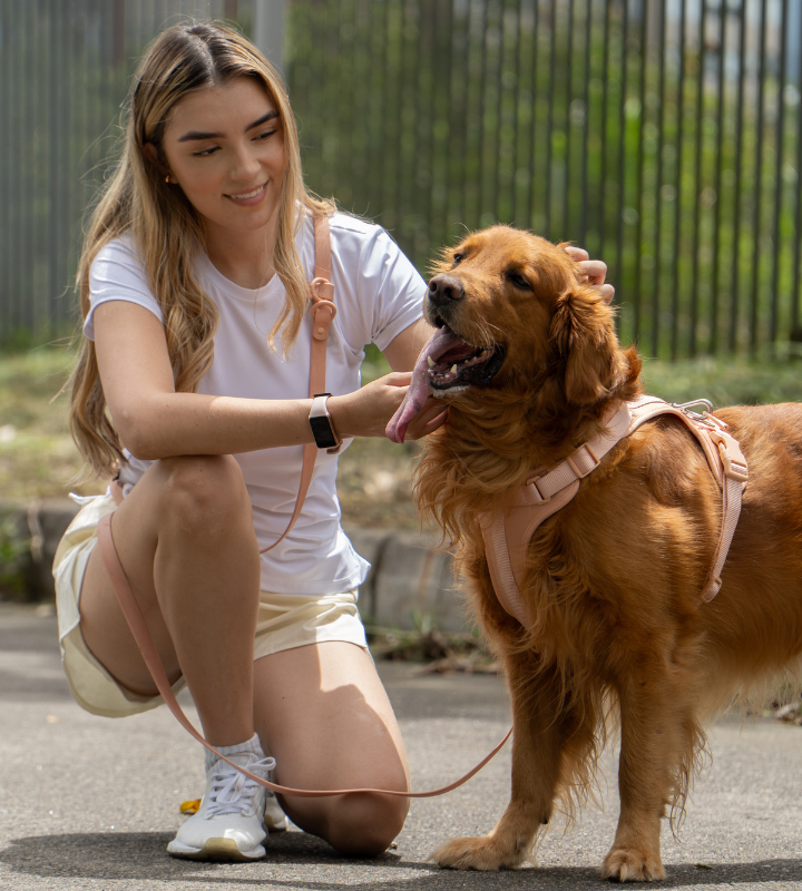 No-Pull Dog Harness & Hands - Free Leash Set in Peach