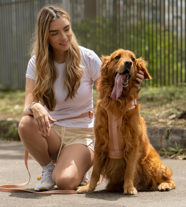 No-Pull Dog Harness & Hands - Free Leash Set in Peach