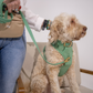 Sage Green No-Pull Dog Harness & Waterproof Classic Leash Set