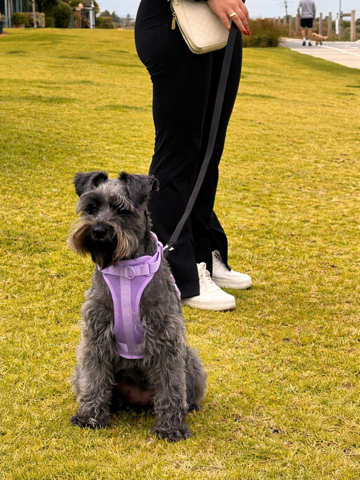 Black Waterproof Dog Leash – Adjustable & Easy-Clean