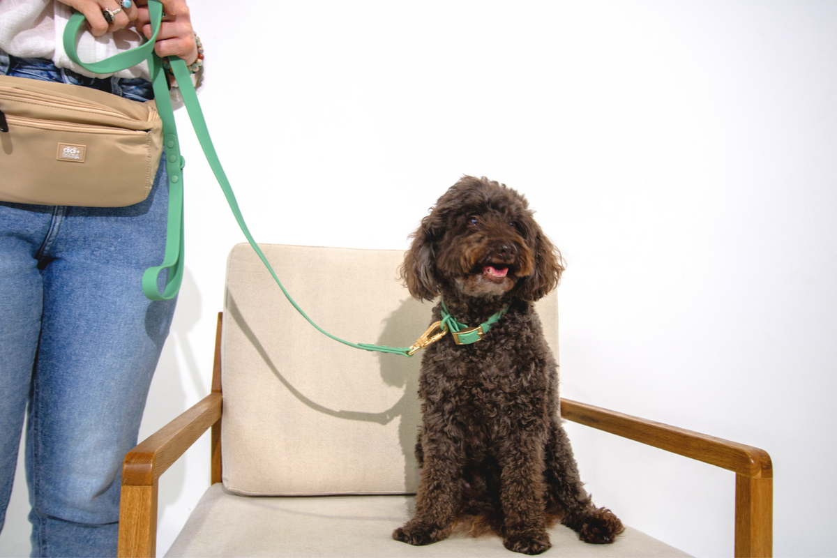 Sage Green Waterproof Dog Leash