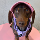 "Pupfluencer” Dog Hat – Adjustable, Breathable & Sun-Safe