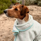 Dog Poncho Towel - Blue