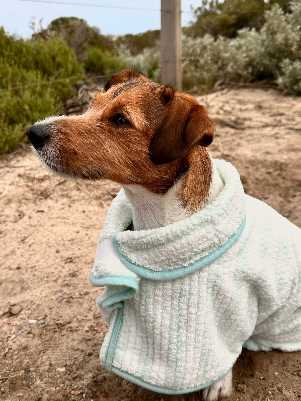 Dog Poncho Towel - Blue