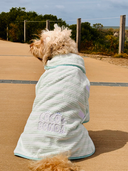 Dog Poncho Towel - Blue